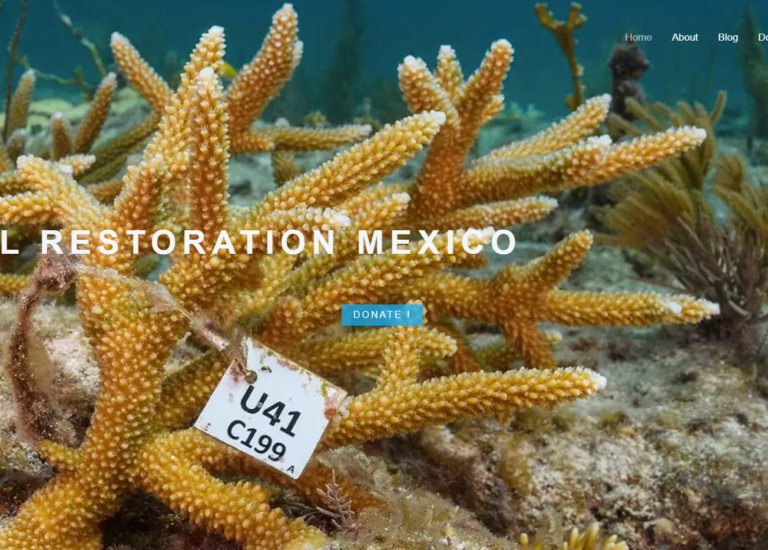 Coral-Restoration-Mexico