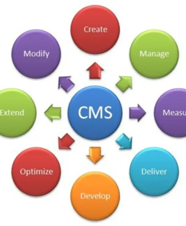 Revolutionize Your Website Management with the Latest CMS Solutions