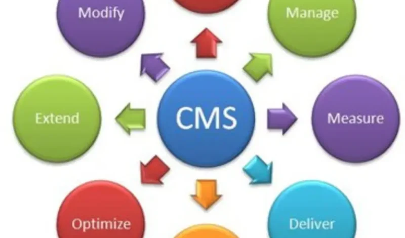 Revolutionize Your Website Management with the Latest CMS Solutions