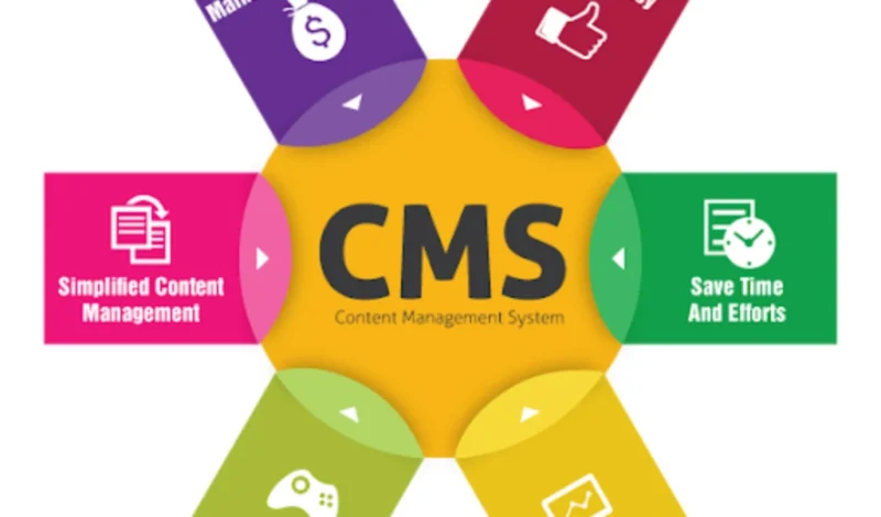 Selecting the Perfect CMS Solution for Your Business